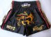 画像1: 新品 サテン 05 LUMPINI ボクシングパンツ S/M/L/XL 選択 黒獅子 /ボクシング/ムエタイ/トランクス/通販/大人用/キッズ用/ジュニア/子供用 (1)