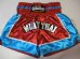 画像1: 新品 サテン 11 LUMPINI ボクシングパンツ S/M/L/XL 選択 赤水THAI /ボクシング/ムエタイ/トランクス/通販/大人用/キッズ用/ジュニア/子供用 (1)
