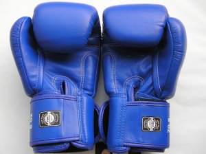 画像3: 新品 正規 TWINS 本格ボクシンググローブ 青 /ボクシング/ムエタイ/本革製/グローブ