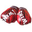 画像2: 新品 正規 TWINS 本格ボクシンググローブ TW赤黒SP /ボクシング/ムエタイ/本革製/グローブ (2)